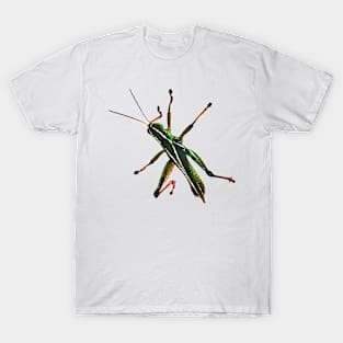 Green Grasshopper Climbing Watercolor Style T-Shirt